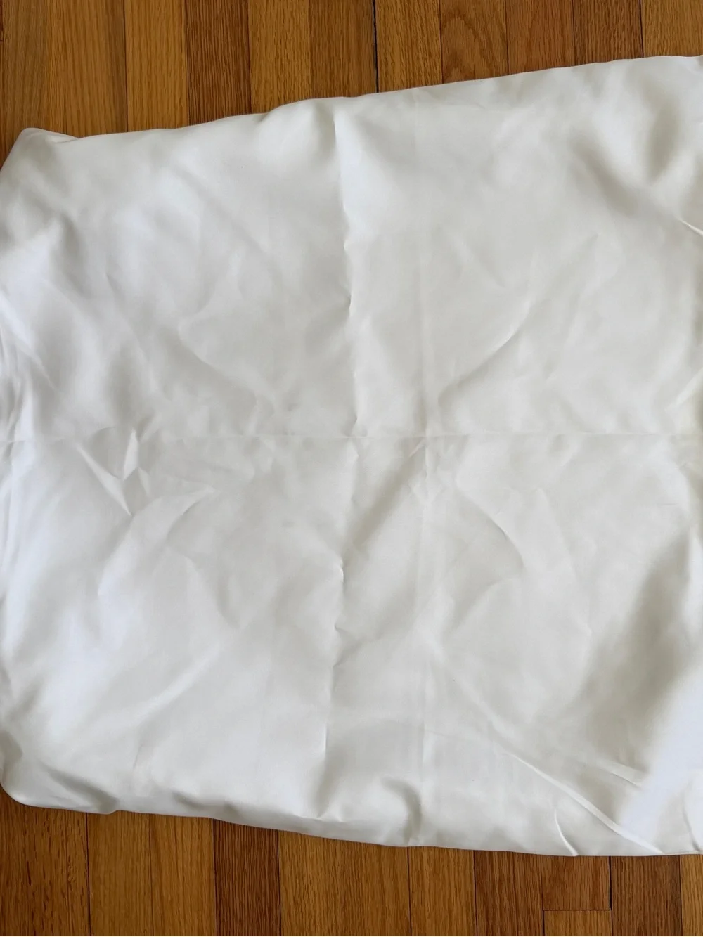 Away medium suitcase dust bag